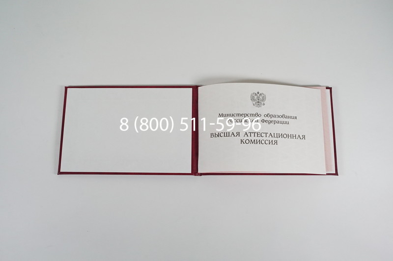 Диплом доктора наук 1995-2006 года в Челябинске Диплом доктора наук 1995-2006 года в Челябинске