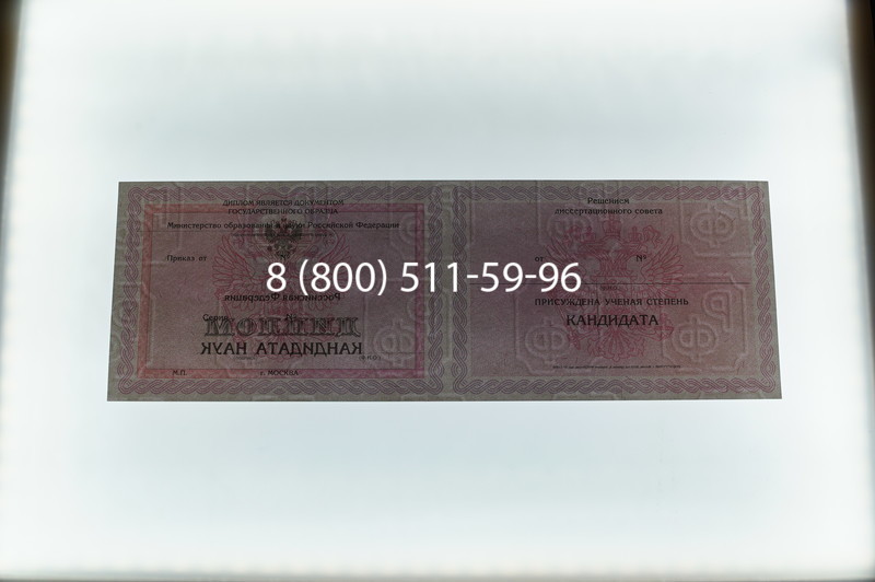 Заказать Диплом кандидата наук 2010 в Челябинске