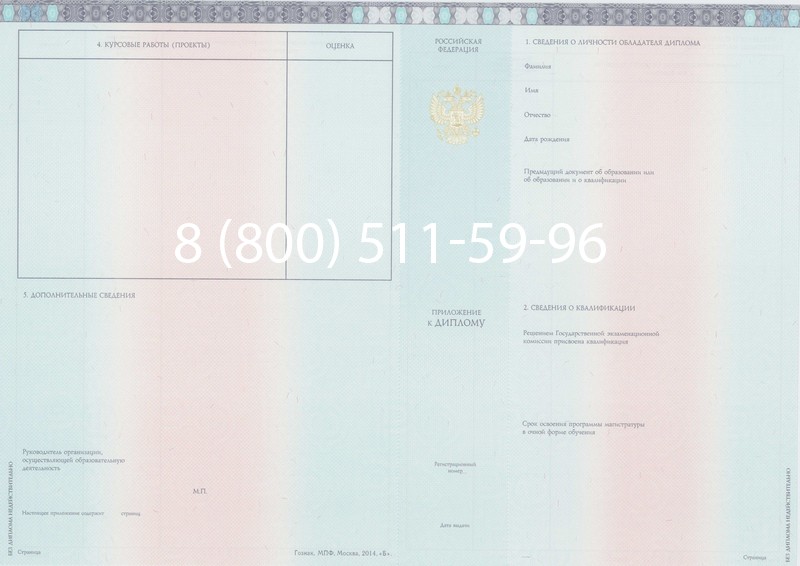 Заказать Диплом магистра 2014-2024 года в Челябинске