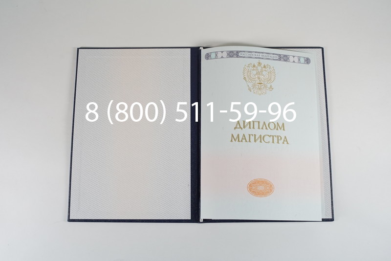 Диплом магистра 2014-2024 года в Челябинске