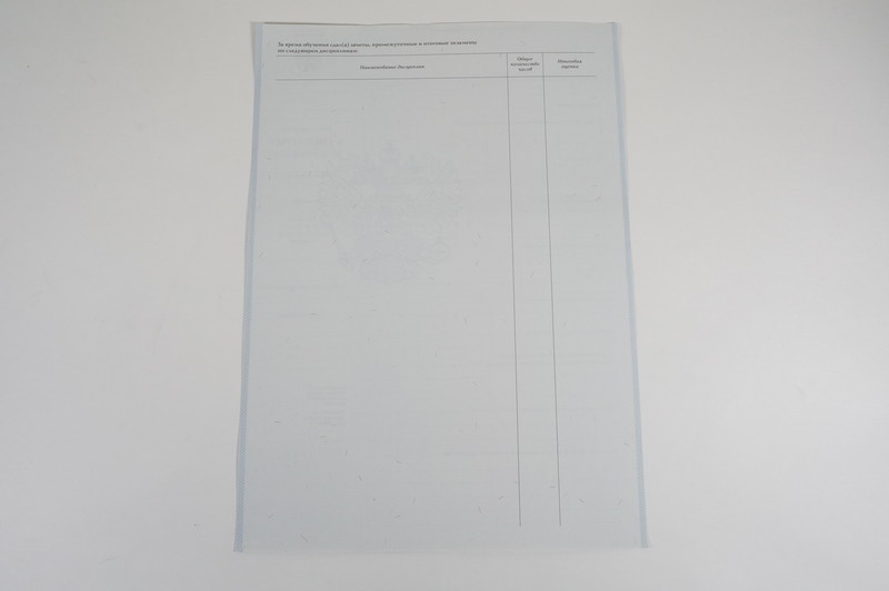 Диплом о начальном образовании  2007-2009 годов в Челябинске