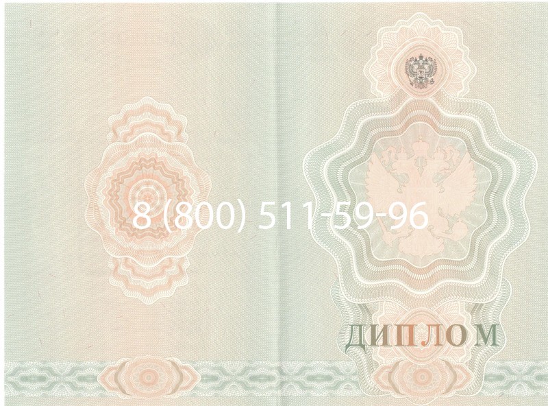 Купить Диплом училища 2007-2009 годов в Челябинске Купить Диплом училища 2007-2009 годов в Челябинске